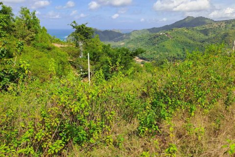 3000m2 Land in Indonesia No. 7804 3