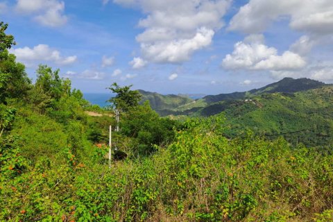 3000m2 Land in Indonesia No. 7804 17