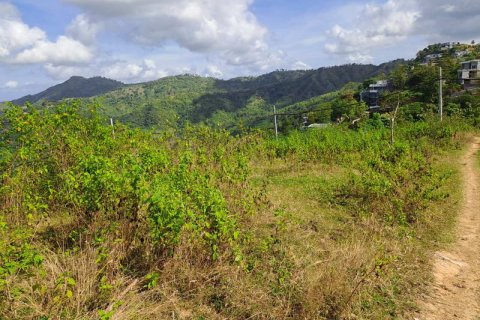 3000m2 Land in Indonesia No. 7804 14