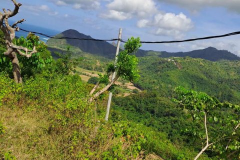 3000m2 Land in Indonesia No. 7804 21