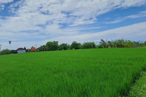 Земельный участок 2800м2 в Tabanan, Табанан, Индонезия № 211 10