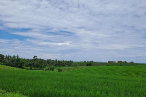 2800m2 Land in Tabanan, Indonesia No. 211