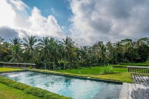 5 bedrooms Villa in Ubud, Gianyar, Indonesia No. 217 6