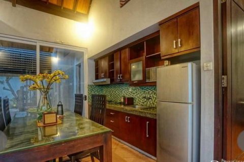 Вилла с 2 спальнями в Seminyak, Бадунг, Индонезия № 214 8