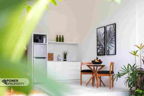 1 bedroom Villa in Seminyak, Badung, Indonesia No. 8259 9