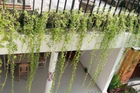 2 bedrooms Villa in Canggu, Badung, Indonesia No. 1820 4