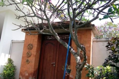 2 bedrooms Villa in Canggu, Badung, Indonesia No. 1820 24