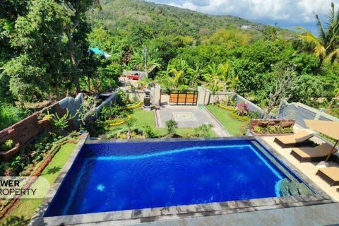 4 bedrooms Villa in Lovina, Anturan, Buleleng, Indonesia No. 9229 23
