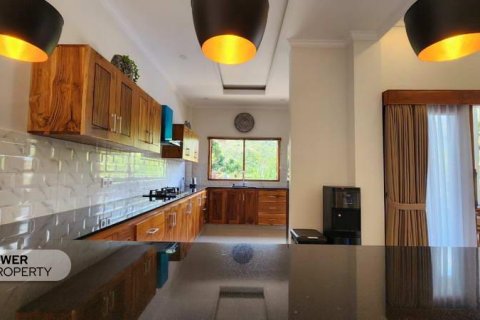 4 bedrooms Villa in Lovina, Anturan, Buleleng, Indonesia No. 9229 24