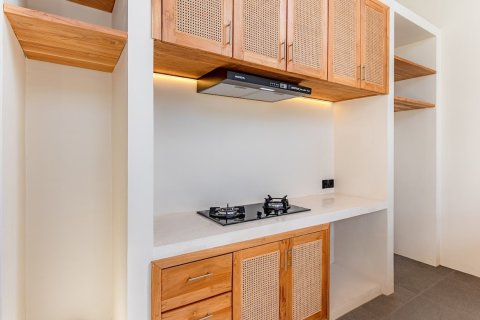 Вилла с 2 спальнями в Cemagi, Бадунг, Индонезия № 9608 13