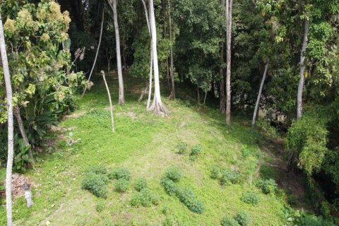 3050m2 Land in Tabanan, Indonesia No. 235 2