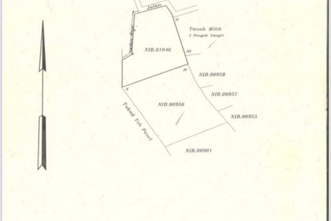 3050m2 Land in Tabanan, Indonesia No. 235 5