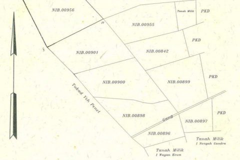 3050m2 Land in Tabanan, Indonesia No. 235 6