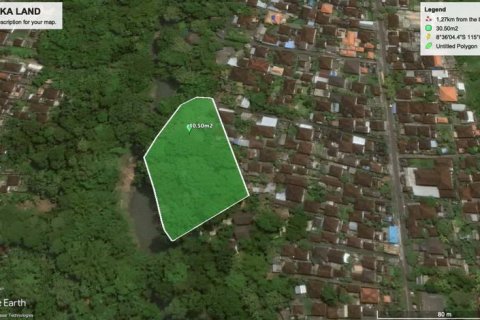 3050m2 Land in Tabanan, Indonesia No. 235 4