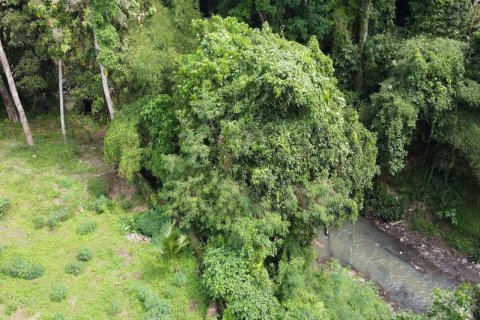 3050m2 Land in Tabanan, Indonesia No. 235