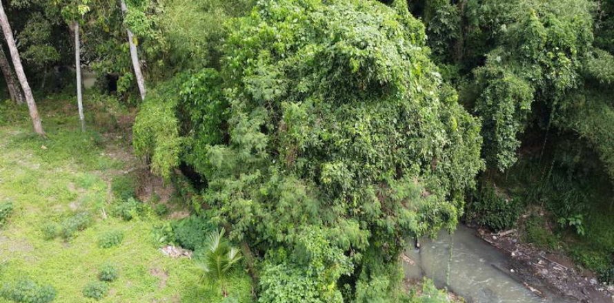 3050m2 Land in Tabanan, Indonesia No. 235