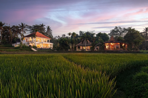4 bedrooms Villa in Ubud, Gianyar, Indonesia No. 232