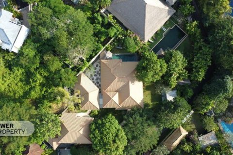 Вилла с 4 спальнями в Nusa Dua, Бадунг, Индонезия № 7049 28