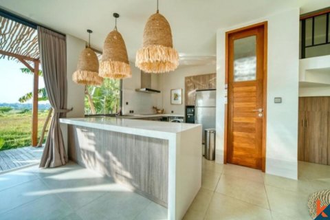 4 bedrooms Villa in Canggu, Badung, Indonesia No. 11381 5