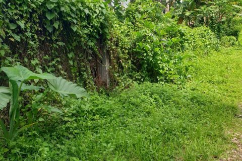 95000m2 Land in Ubud, Gianyar, Indonesia No. 137