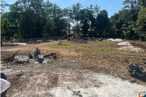Land in South Kuta, Badung, Indonesia No. 10387