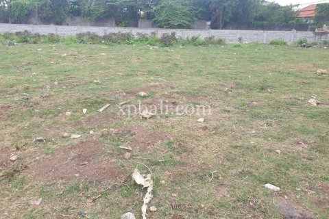 Земельный участок 1100м2 в Canggu, Бадунг, Индонезия № 284 3