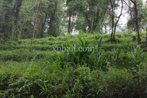 3200m2 Land in Tabanan, Indonesia No. 279 2