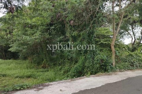 3200m2 Land in Tabanan, Indonesia No. 279 5