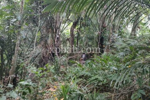 3200m2 Land in Tabanan, Indonesia No. 279 6