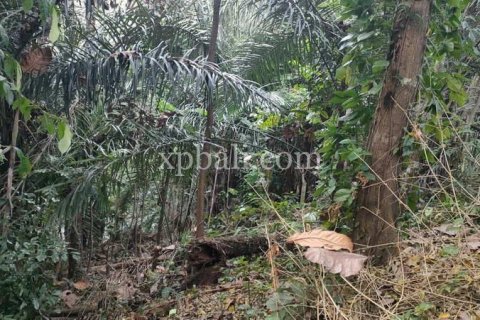 3200m2 Land in Tabanan, Indonesia No. 279 9