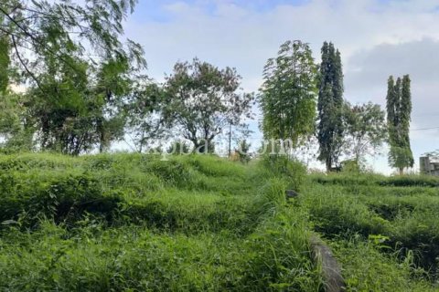3200m2 Land in Tabanan, Indonesia No. 279