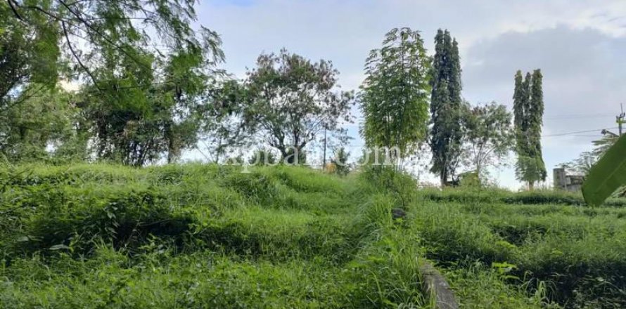 3200m2 Land in Tabanan, Indonesia No. 279