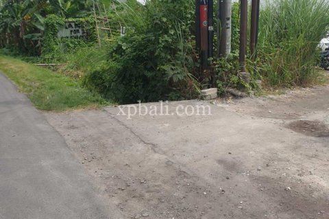 2800m2 Land in Canggu, Badung, Indonesia No. 285 5