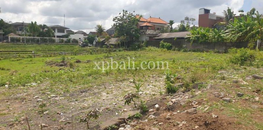 2800m2 Land in Canggu, Badung, Indonesia No. 285