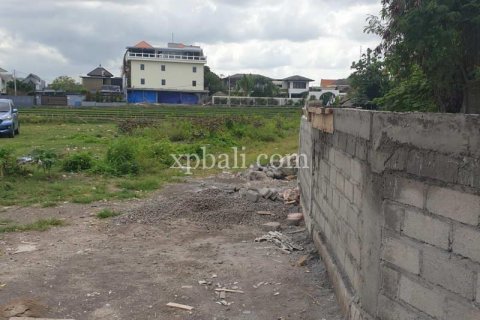 2800m2 Land in Canggu, Badung, Indonesia No. 285 9