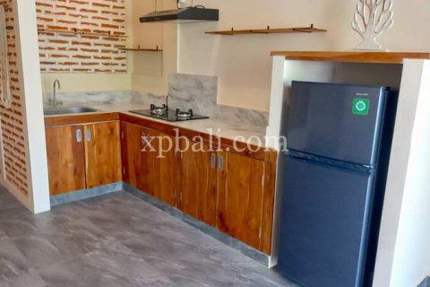 Вилла с 12 спальнями в Canggu, Бадунг, Индонезия № 281 17