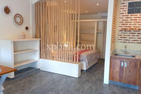 Вилла с 12 спальнями в Canggu, Бадунг, Индонезия № 281 14