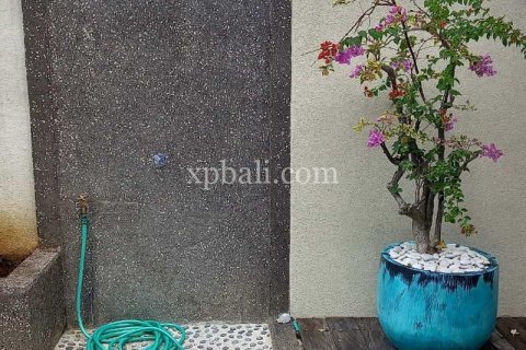 Вилла с 12 спальнями в Canggu, Бадунг, Индонезия № 281 16