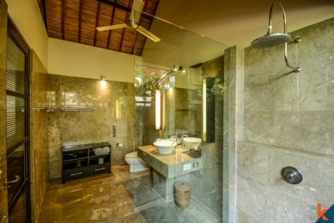 3 bedrooms Villa in Seminyak, Badung, Indonesia No. 11258 12