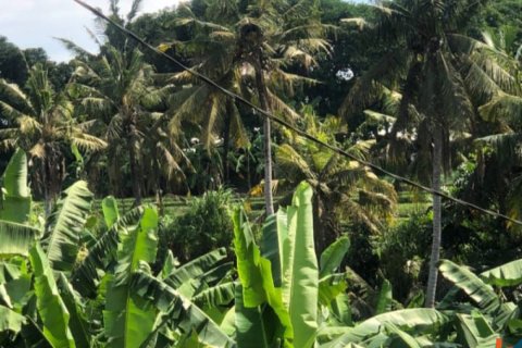Land in Mengwi, Badung, Indonesia No. 11263 4