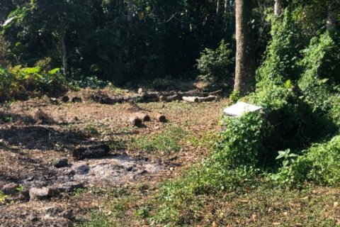Land in Mengwi, Badung, Indonesia No. 11263 3
