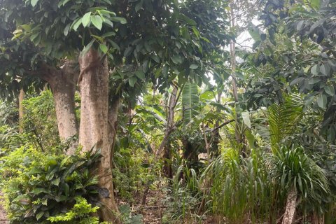 Land in Ungasan, Badung, Indonesia No. 11184 6
