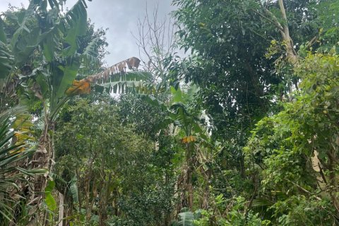 Land in Ungasan, Badung, Indonesia No. 11184 5
