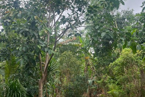 Land in Ungasan, Badung, Indonesia No. 11184 3