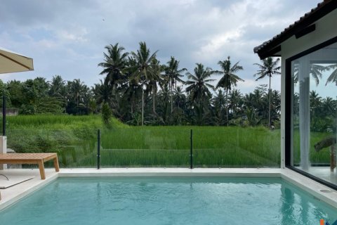 2 bedrooms Villa in Tegallalang, Gianyar, Indonesia No. 11186 5