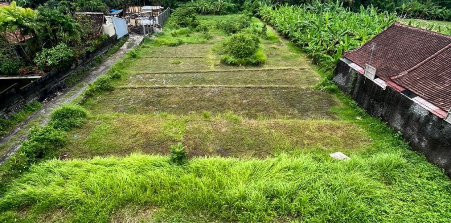 Land in Pererenan, Mengwi, Badung, Indonesia No. 11182