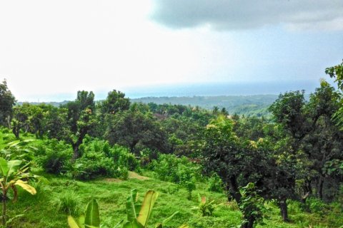 Land in Lovina, Anturan, Buleleng, Indonesia No. 11185 2