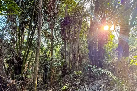 Land in Cepaka, Kediri, Tabanan, Indonesia No. 13514 3