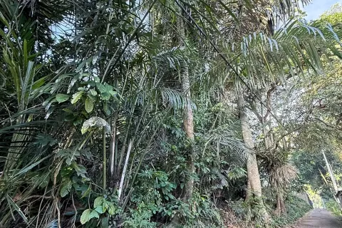 Land in Cepaka, Kediri, Tabanan, Indonesia No. 13514 11