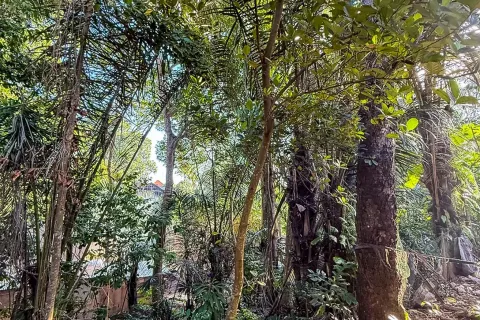 Land in Cepaka, Kediri, Tabanan, Indonesia No. 13514 6